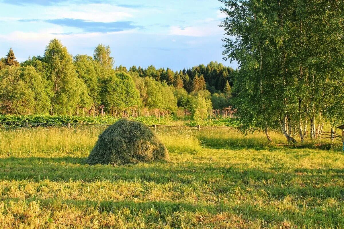 Стог Колхун. Деревня поле сенокос. Поле стог сена деревня. Сенокос Луговое.