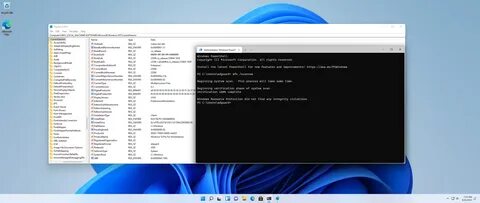 Dev version