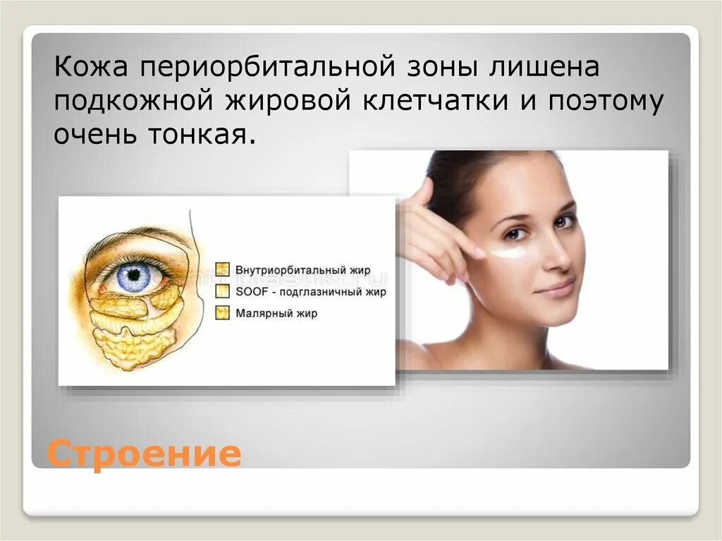 Периорбитальная область вокруг глаз. Переордитальная область. Малярный мешок слезная борозда. Круговая мышца глаза. Периорбитальная область глаз.