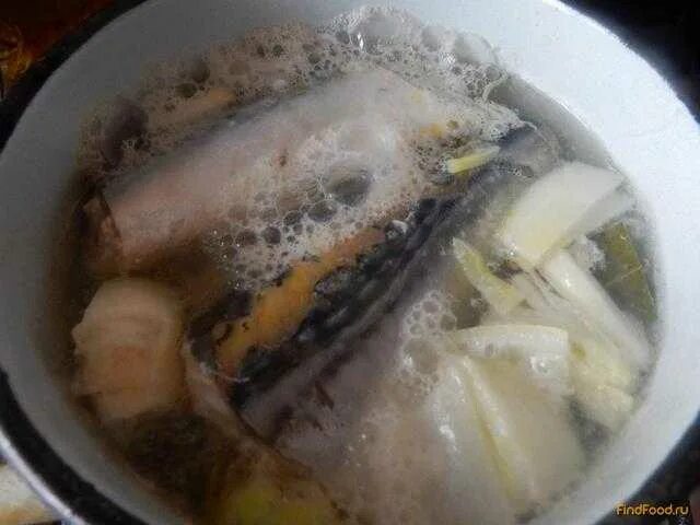 Как отварить скумбрию. Скумбрия в горчичной заливке. скумбрия вареная. скумбрия отварная. отварить скумбрию.