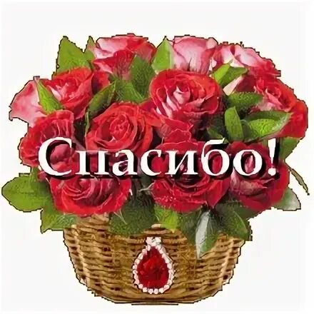 Спасибо милая и вам. Букет &quot;спасибо&quot;. спасибо розы. спасибо за букет очень приятно. букет спасибо картинка.