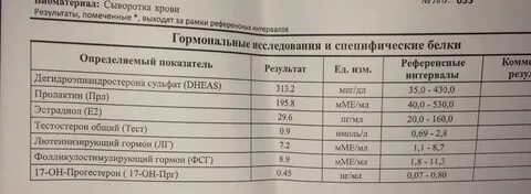 Норма ли б