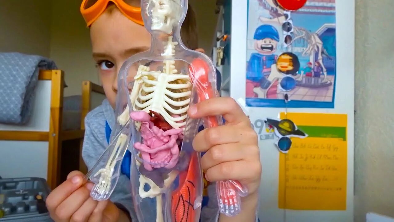Анатомия для детей. Как устроен человек. Тело человека для детей игрушка. Человек видео для детей