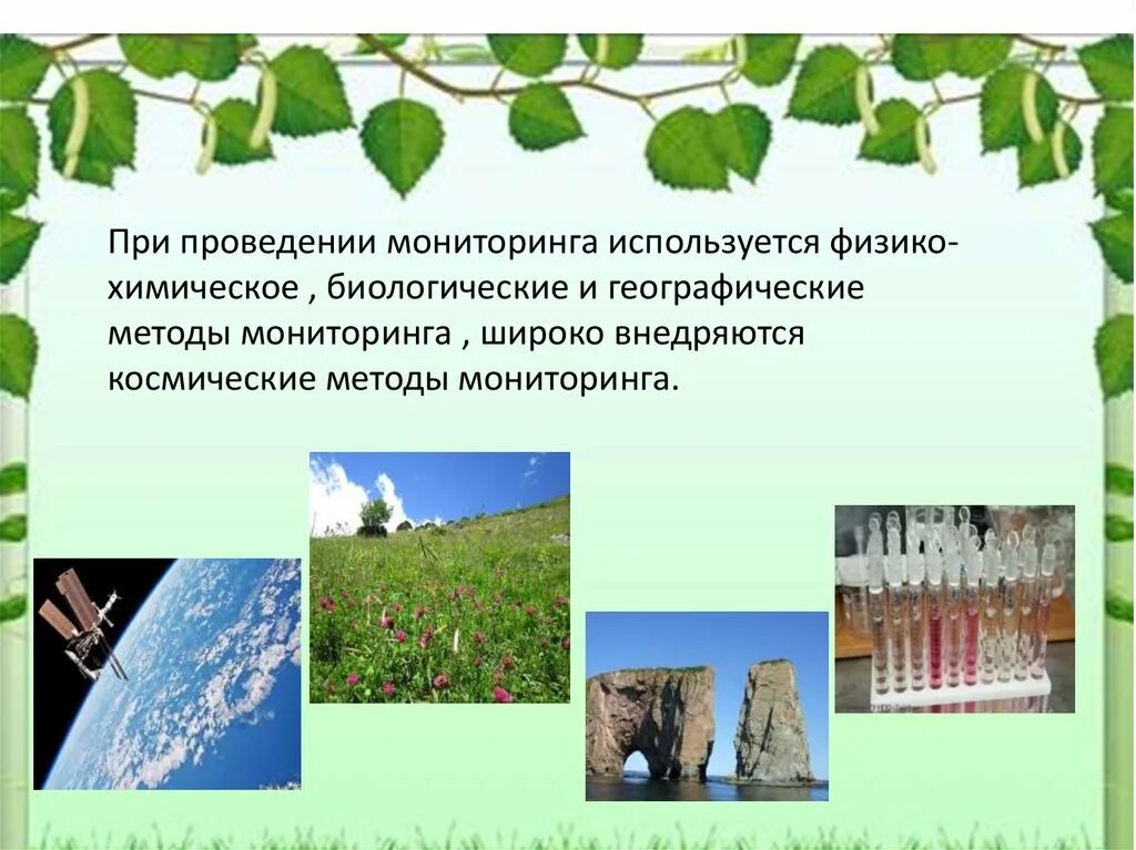 проведение мониторинга загрязнения окружающей среды