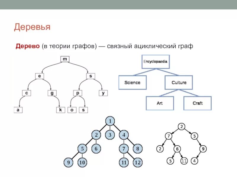 Дерево 5 класс информатика. Дерево (теория графов).