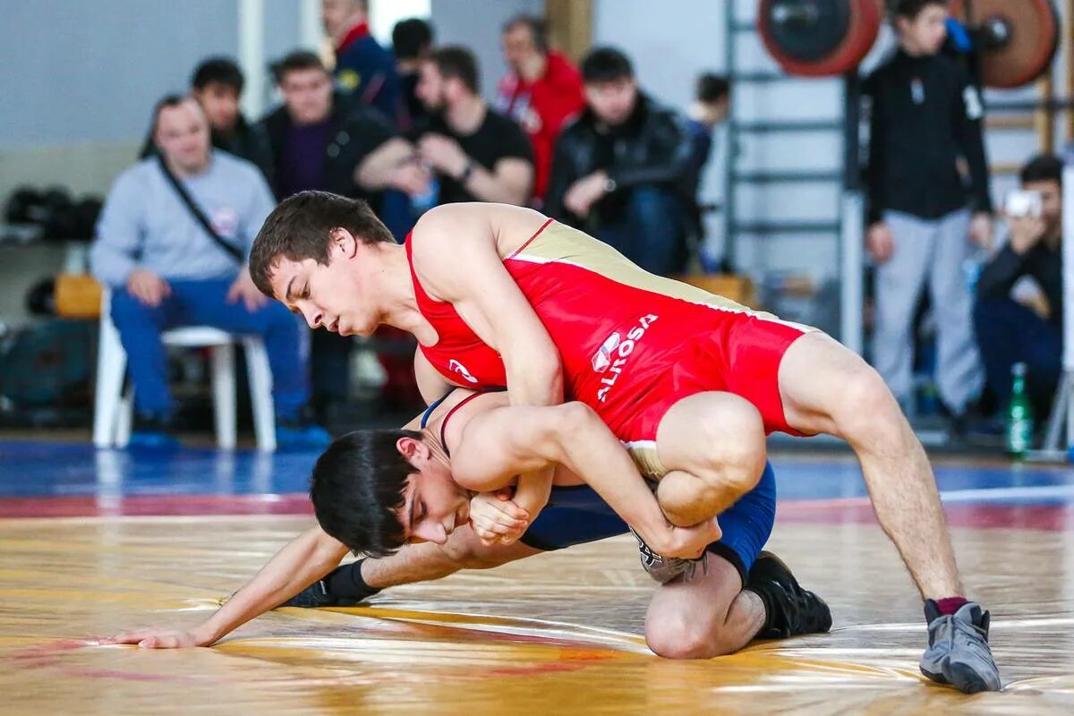 Борьба учит. Борьба учит. Тренировки в женской вольной борьбе. Приемы вольной борьбы. Приемы по вольной борьбе для начинающих.