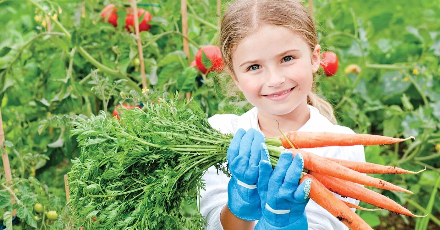 Vegetable family. Огород для детей. Овощи на огороде. Урожай для детей. Огород с овощами для детей.