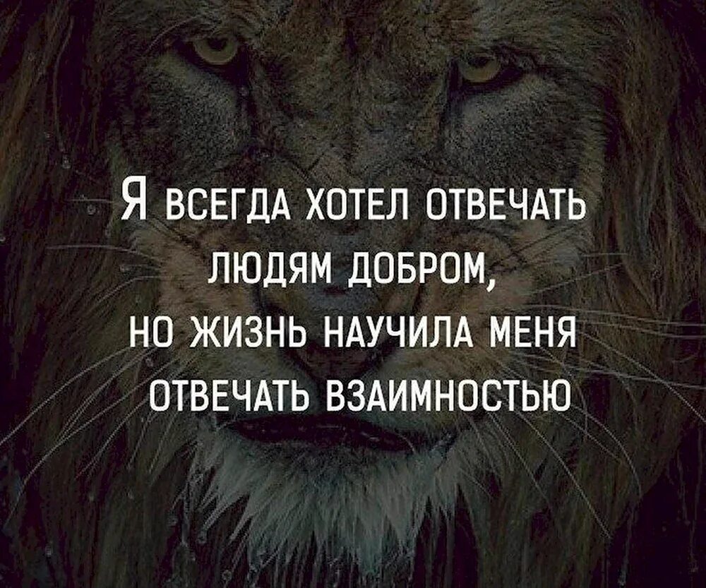Чтобы помогать людям не обязательно быть богатым. Цитаты про работу со смыслом. Хочу быть добрее но видит бог люди сами нарываются картинка. Я больше не хочу быть добрым. Мотиваторы доброты.