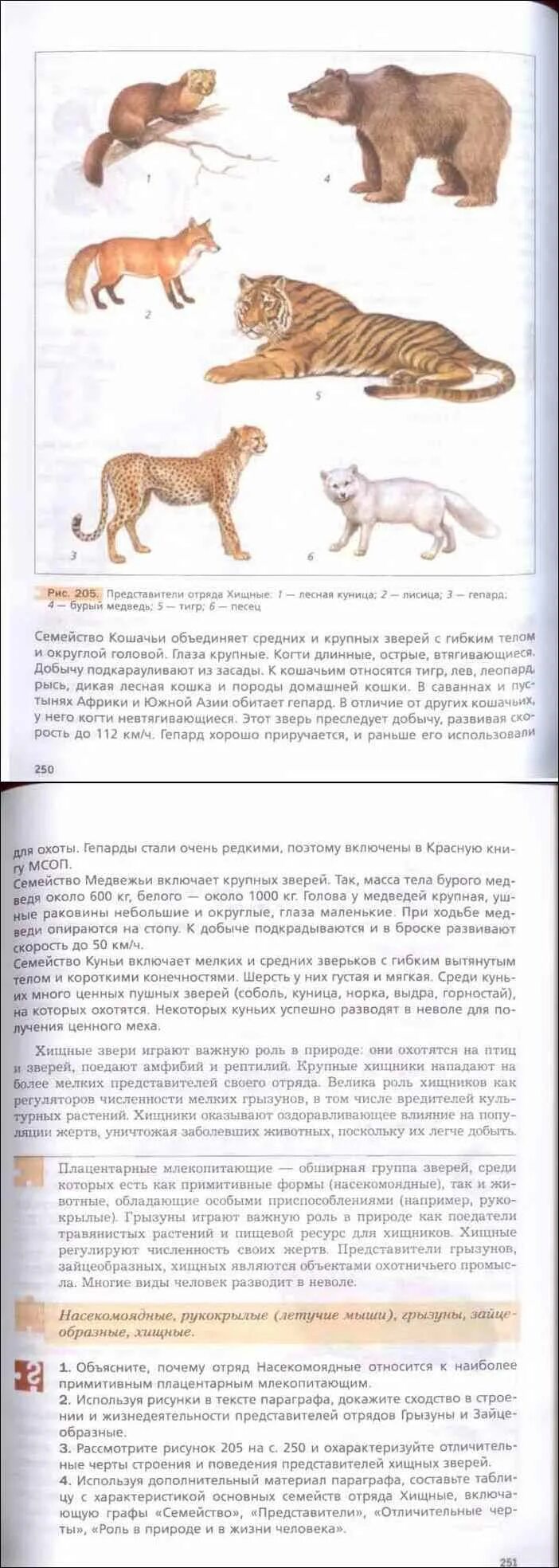 Биология 8 класс константинов читать. Учебник по биологии 7 класс Бабенко. Читать биологию 8 класс Бабенко. Учебник по биологии 7 класс читать Бабенко. Рисунки из учебника по биологии 7 класс Константинов.