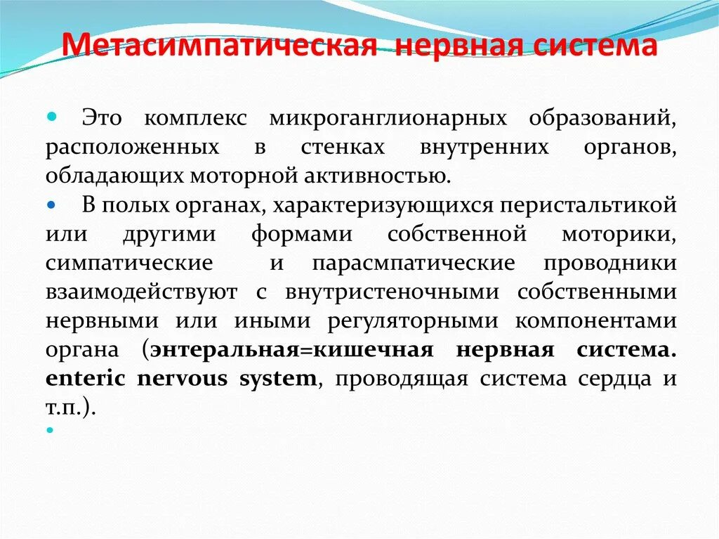 Метасимпатическая нервная. Метасимпатический отдел автономной нервной системы. Что делает метасимпатическая нервная система. Схема рефлекторной дуги метасимпатической нервной системы. Метасимпатическая нервная.