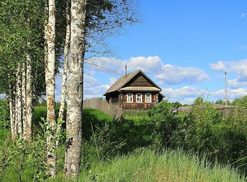 Деревенский дом с березкой. Домик и Березки. Домик на Березе. Домик в деревне с березами.