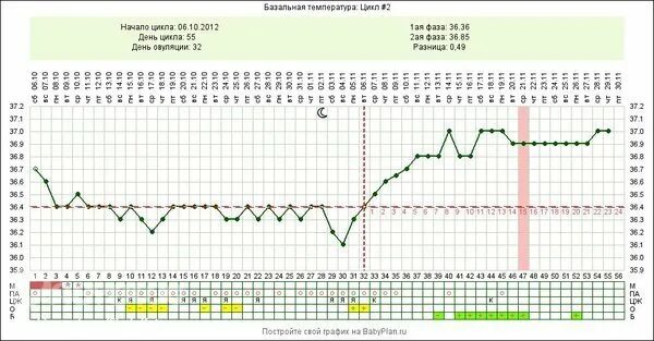 БТ 36.9 на ранних сроках. 30 ДЦ БТ 37 базальная температура. 9 День цикла базальная температура 36.6. Базальная температура цикл 28 дней. 4 5 день цикла