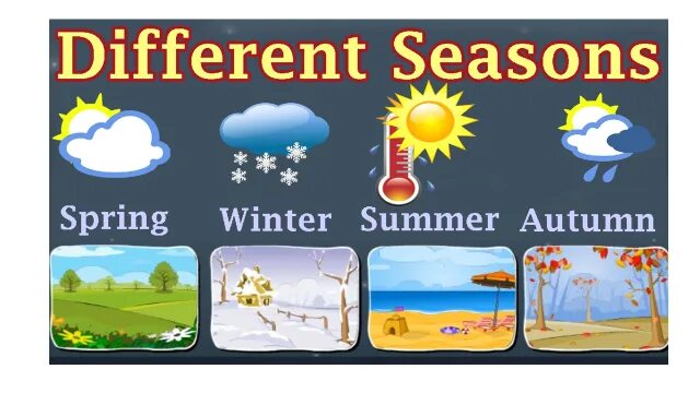 Is yellow ? по английски. What did you do in summer. The weather in summer. Sunny warm windy. Тема my favourite season.