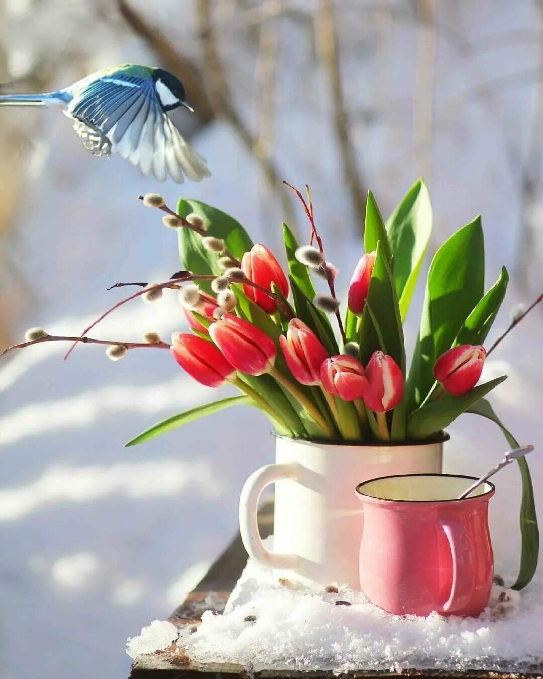 Пожелания доброго апрельского утра. Доброго весеннего дня. Весеннее настроение. Пожелания с добрым весенним утром.