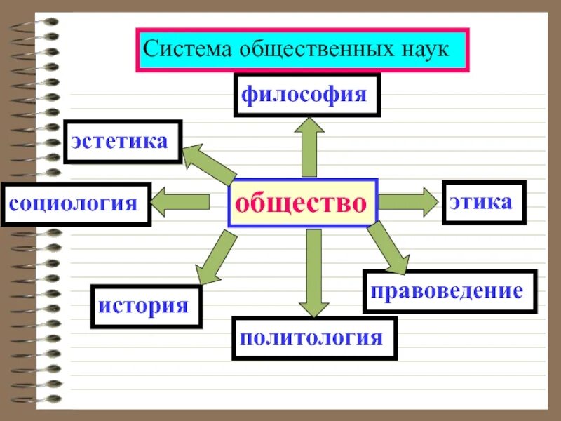 Система общественных наук. Обществознание это наука изучающая. Общественные науки это понятие. Социальные общественные науки. Направления связанные с обществом