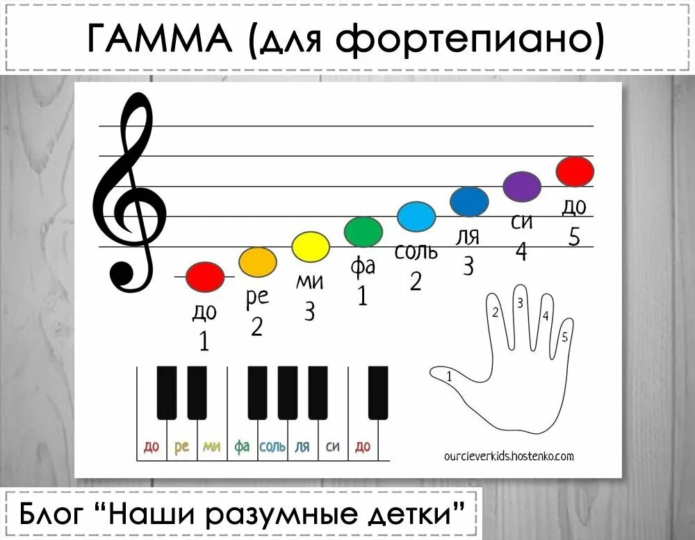 Гамма музыкальных нот. Нотная гамма первой октавы. гамма до мажор на нотном стане. гамма до мажор на фортепиано для начинающих. гаммы для фортепиано для начинающих.