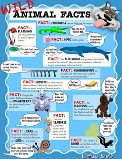 Fact 3