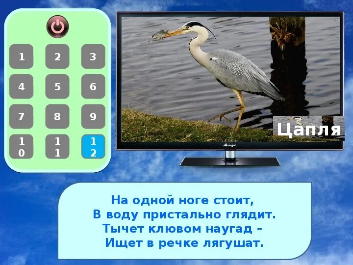 Игра угадай птицу. Игра отгадай птицу. дидактическая игра отгадай какая птица. угадай птичку игра. угадай птицу по описанию.