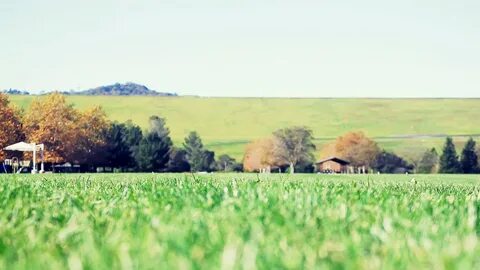 Rural environment