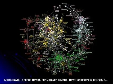 Карта дисциплины