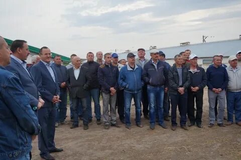 Погода юлов