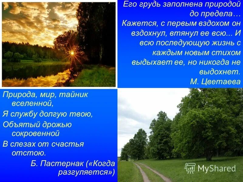 Стихи пастернака про природу. Стихотворение о природе Бориса Пастернака. Природы в лирике б. Пастернак. Стих Постеренко о природе. Природа в поэзии Пастернака.