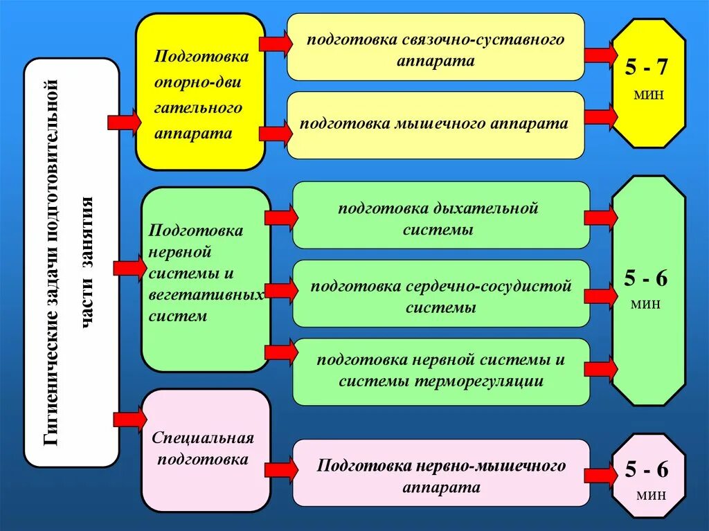 Нормирование физических нагрузок. Гигиеническое нормирование физических нагрузок. Требования к физическим нагрузкам. Нормирование физических нагрузок в процессе занятия. Требования к физическому состоянию