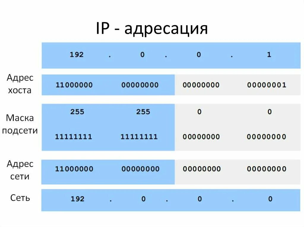 Типы IP адресов в компьютерных сетях. Айпи маска подсети. Структура IP адреса. IP адресация.