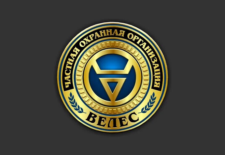 Велес курсы повышения. Частная охранная организация велес. охрана велес москва. логотип охранное агентство велес.