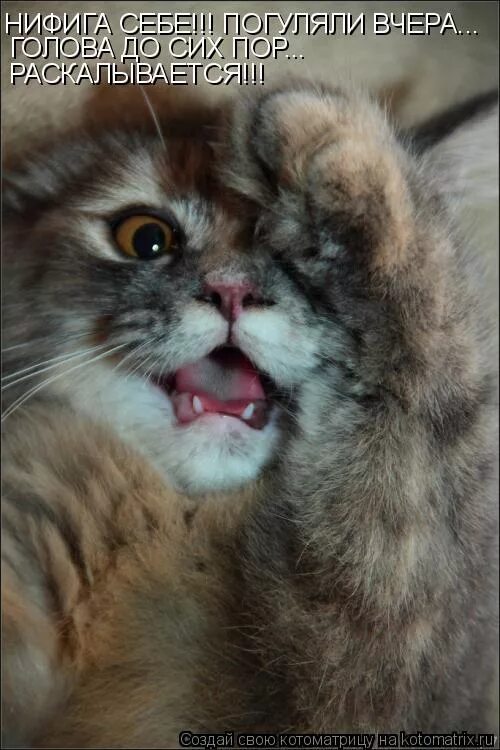 Похож мем. Нифига себе заявочка. Нифига себе так много. Ну ни фига себе. Нифига себе заявочка.