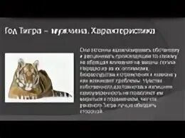 Мужчина дева тигр