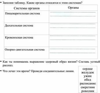 Отметь к каким системам органов относятся