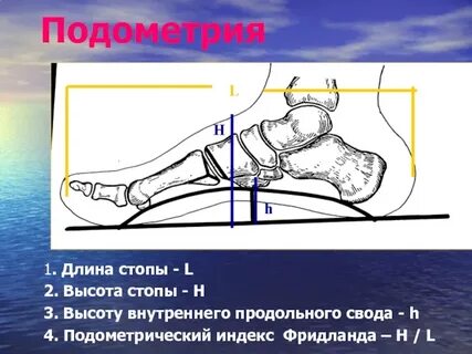 Высота свода стопы