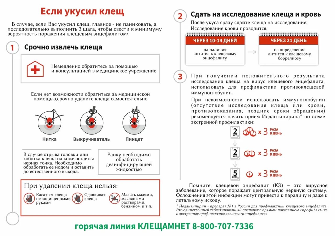 В течение какого срока можно сдавать. Анализ крови после укуса клеща когда сдавать. После укуса клеща какие анализы нужно сдать. Анализ после укуса клеща. Сдать кровь после укуса клеща.