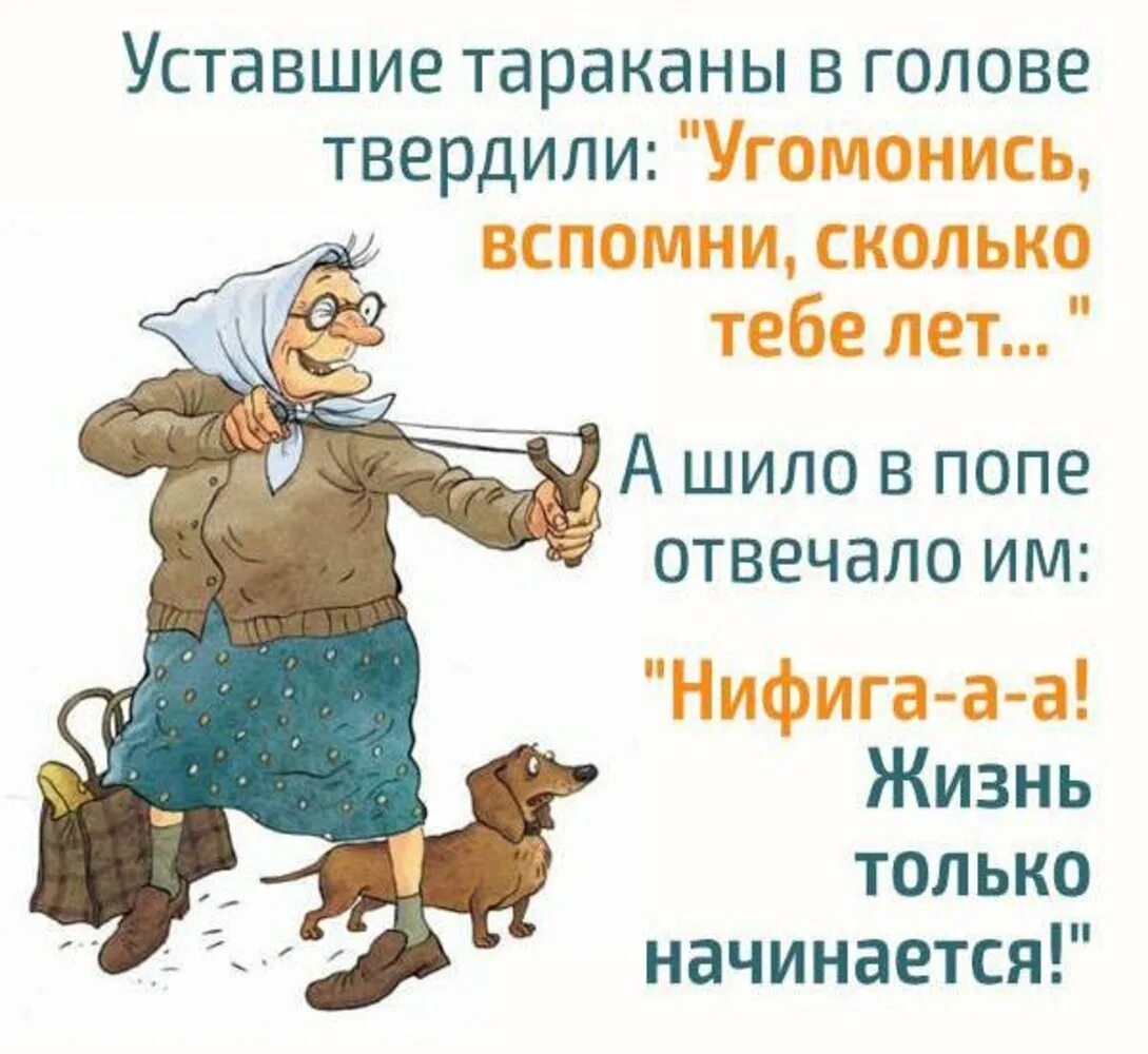 После пятидесяти жизнь только начинается 1. Уставшие тараканы твердили. уставшие тараканы в голове. в 40 лет жизнь только начинается. уставшие тараканы твердили угомонись вспомни.
