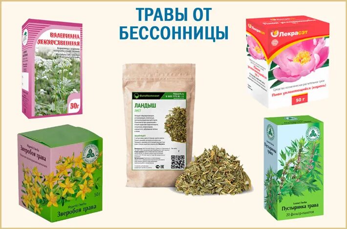 Успокоительные не понижающие давление. Травы от бессонницы. успокоительные травы. успокоительные препараты и травы от бессонницы. травы для успокоения нервной системы.
