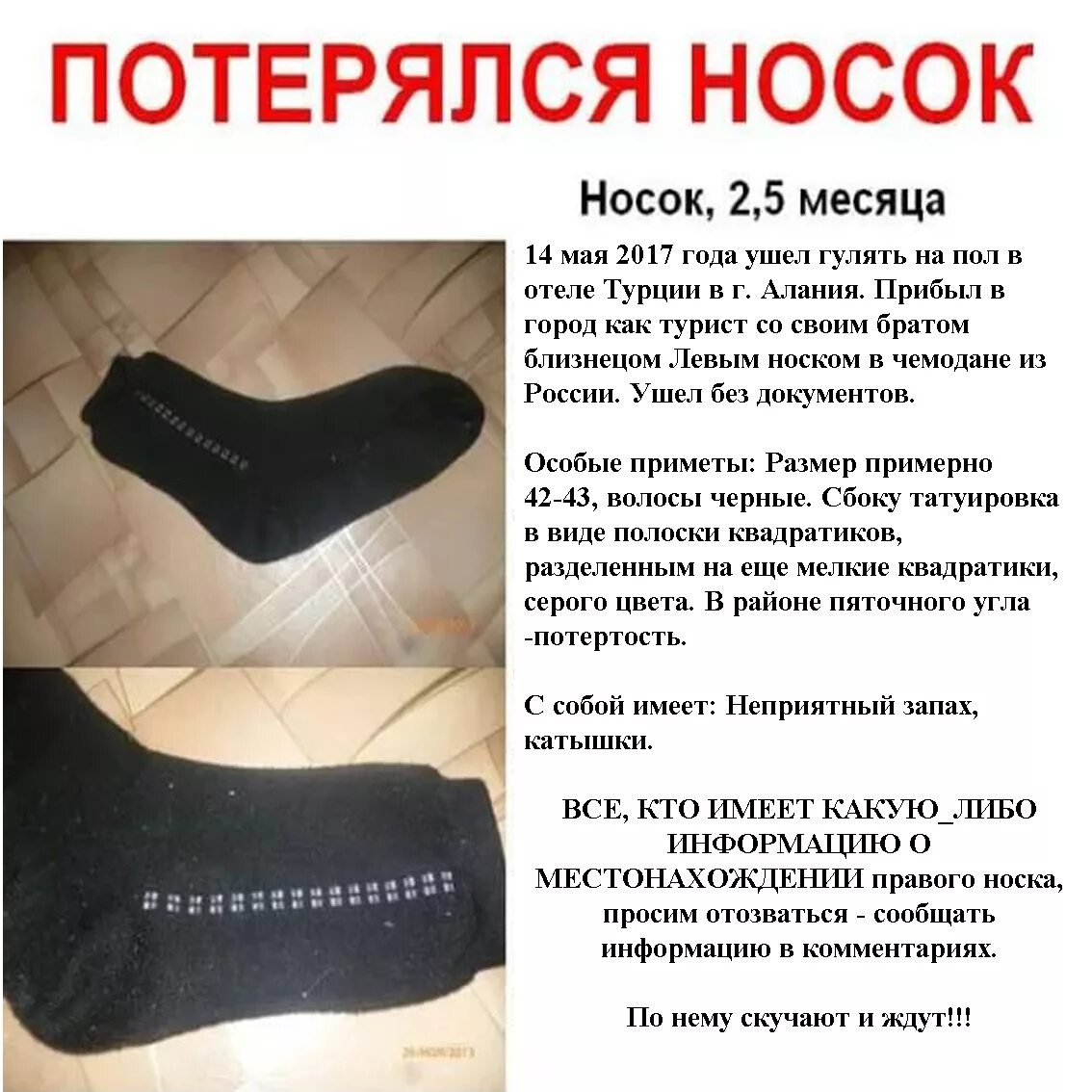 Мужские носки юмор. Грустный носочек. Потерянный носок. Носки теряются. Терять носки.