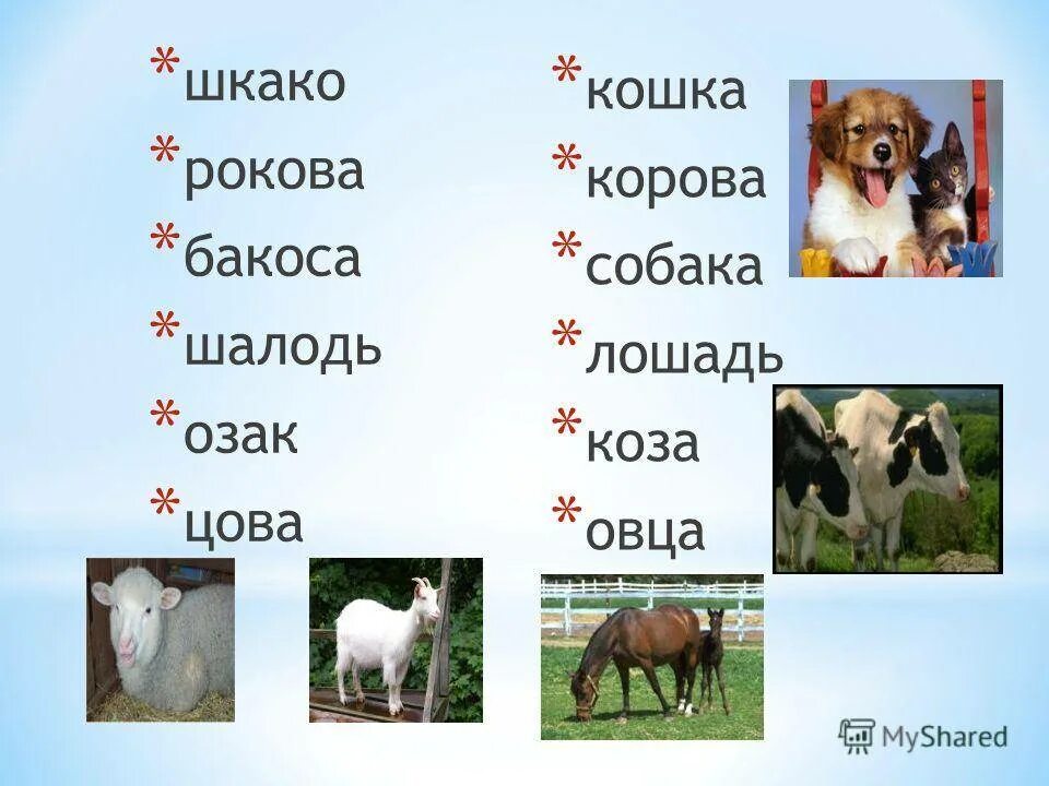 Собака корова коза. Клички домашних животных коза. Клички животных корова. Кошка собака корова лошадь