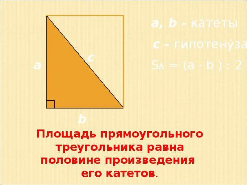 Задача площадь прямоугольного треугольника. Площадь прямоугольного треугольника. площадь треугольника прямоугольного треугольника. площадь прямоугольного тре. площадь треугольника равна половине произведения его катетов.