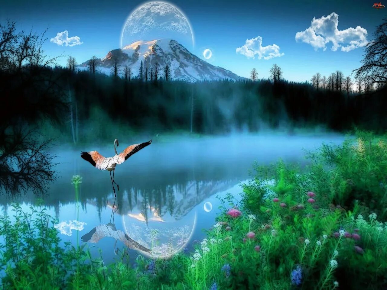 Чудесный мир дата выхода. Балет волшебное озеро Лядов. Сказочное озеро. Сказочная природа. Прекрасный мир природы.