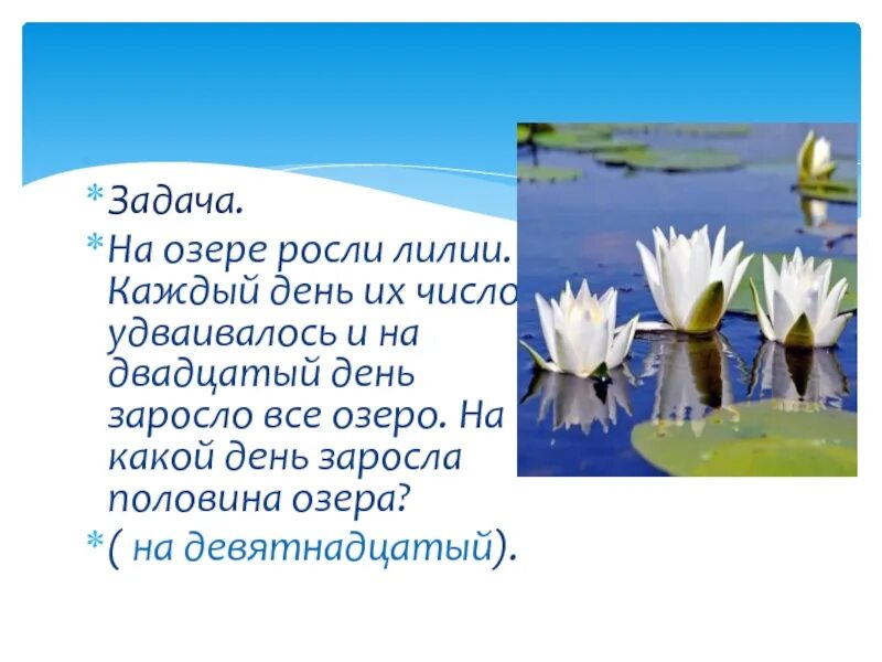 Задачи про озеро. Задача с кувшинками и озером. На озере росли лилии. Загадка про озеро и лилии. Логическая задача про кувшинки.