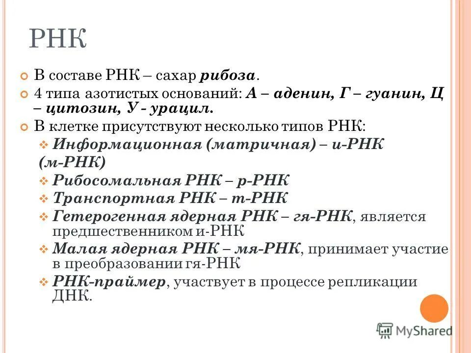 В состав рнк не входит азотистое основание