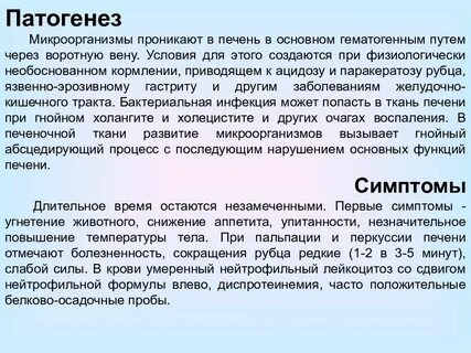 Паракератоз шейки матки