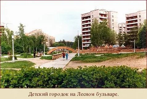 Протвино лесная