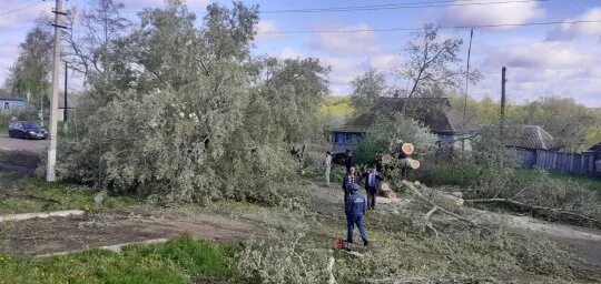Курская область сейчас 29 августа. Введенский храм курск. Железногорск курская область пожар 24. Курская область сегодня поля. Курская область сейчас 29 августа.