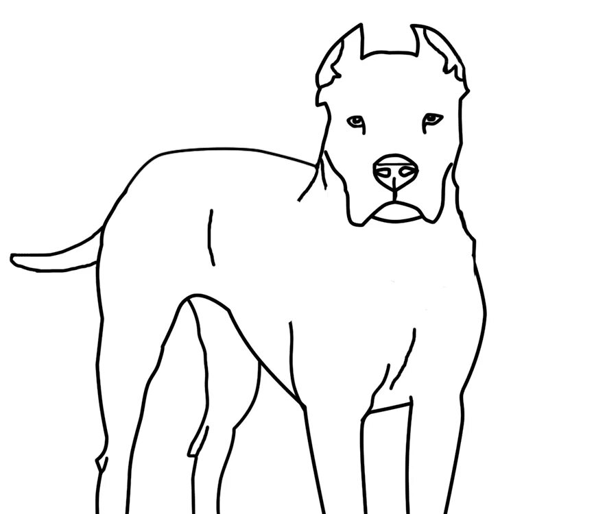 Как рисовать дог дея. Американский стаффордширский терьер раскраска. Стаффордширский терьер и алабай. Собака контур сбоку. Собака рисунок.