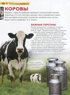 Ферма рассказ