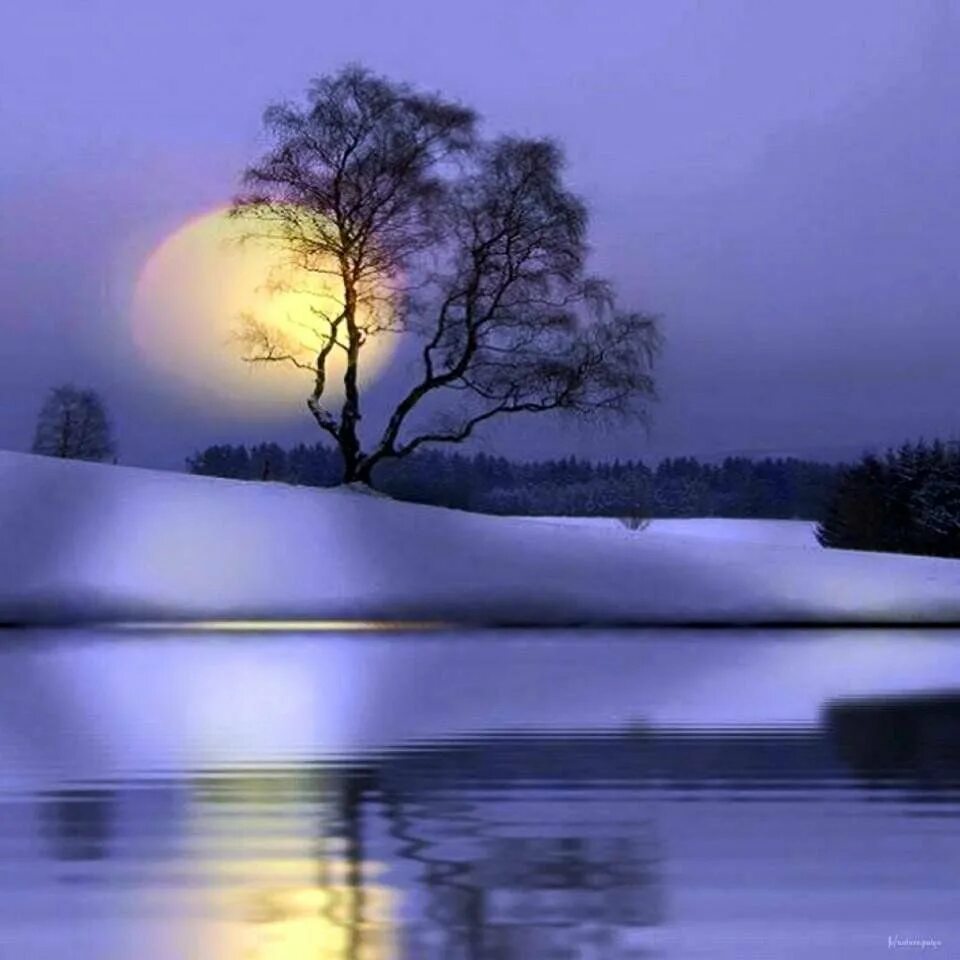 Спокойной ночи красивая зимняя ночь. Спокойной ночи зимний пейзаж. Спокойной ночи зимняя природа. Зимний вечер Луна. Лунный свет зимой.