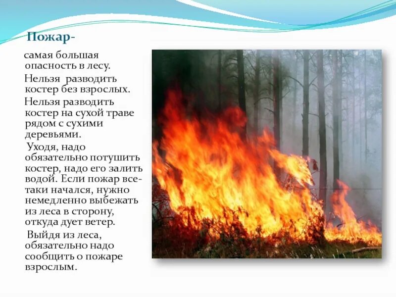 Лесные пожары 2 класс. Опасности в лесу. Опасность пожара в лесу. Презентация на тему пожар. Пожар самая большая опасность в лесу.