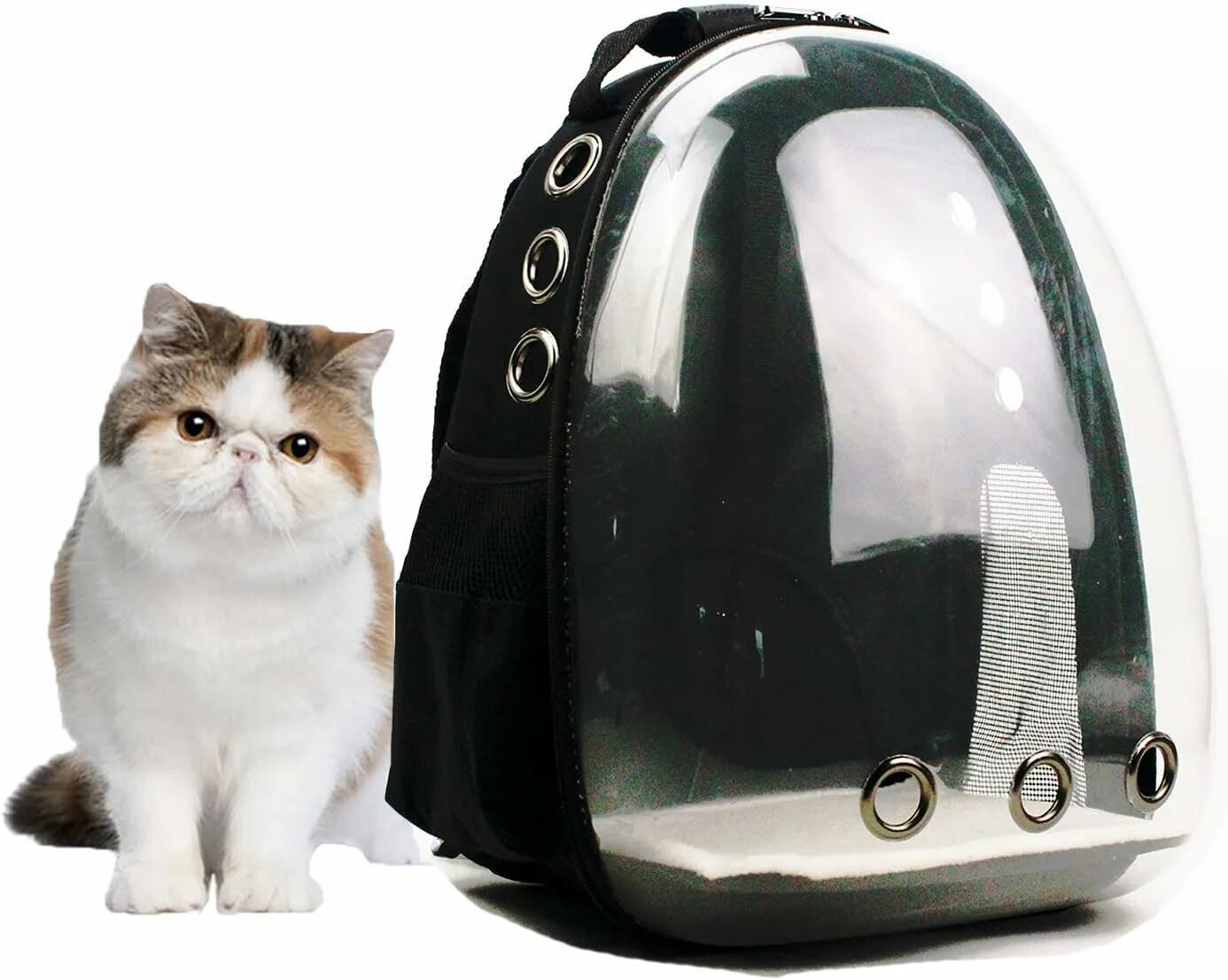 Hard pet. Рюкзак Pet Carrier. Сумка для кошки на мотоцикл. Рюкзак для кошки wid. Переноски для кошек на мотоцикл.